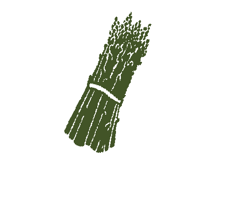 asparagus